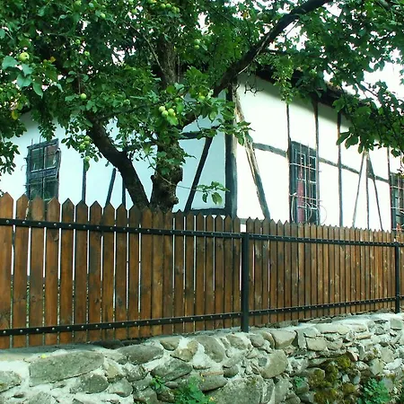 Clay House Pensiune *
