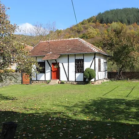 Clay House Pensiune